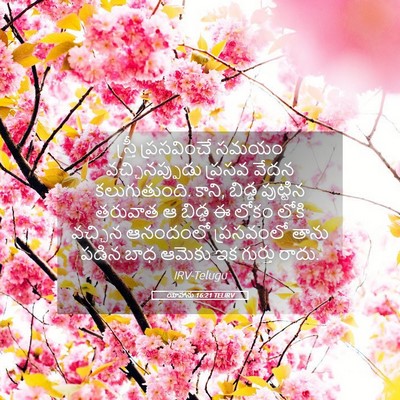 Picture 05 - యోహాను 16:21 TELIRV - స్త్రీ ప్రసవించే - Bible Verse Picture