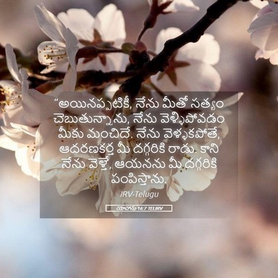 Picture 05 - యోహాను 16:7 TELIRV - “అయినప్పటికీ, - Bible Verse Picture