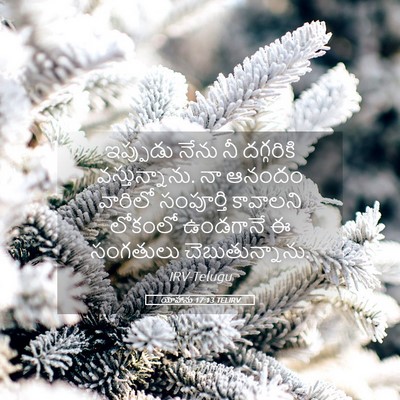 Picture 05 - యోహాను 17:13 TELIRV - ఇప్పుడు నేను నీ - Bible Verse Picture