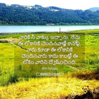 Picture 05 - యోహాను 17:14 TELIRV - వారికి నీ వాక్కు - Bible Verse Picture