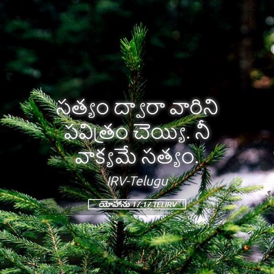 Picture 05 - యోహాను 17:17 TELIRV - సత్యం ద్వారా - Bible Verse Picture