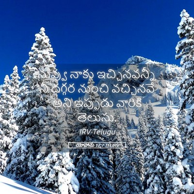 Picture 05 - యోహాను 17:7 TELIRV - నువ్వు నాకు - Bible Verse Picture