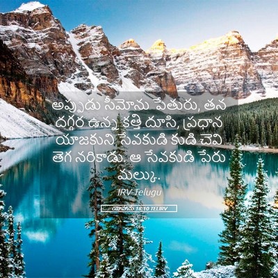Picture 05 - యోహాను 18:10 TELIRV - అప్పుడు సీమోను - Bible Verse Picture
