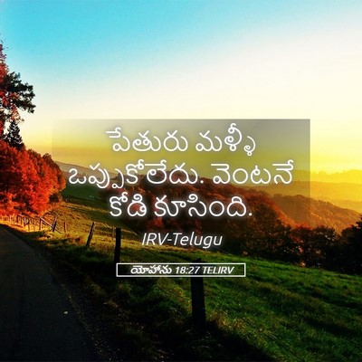 Picture 05 - యోహాను 18:27 TELIRV - పేతురు మళ్ళీ - Bible Verse Picture