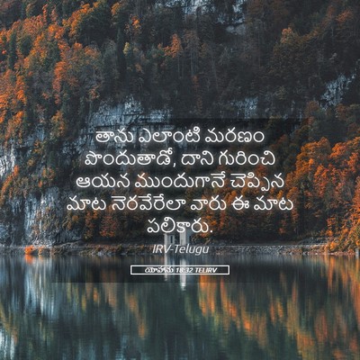 Picture 05 - యోహాను 18:32 TELIRV - తాను ఎలాంటి మరణం - Bible Verse Picture
