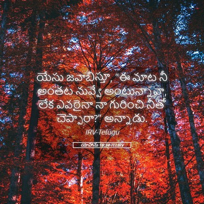 Picture 05 - యోహాను 18:34 TELIRV - యేసు జవాబిస్తూ, “ఈ - Bible Verse Picture