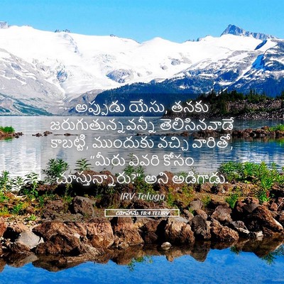 Picture 05 - యోహాను 18:4 TELIRV - అప్పుడు యేసు, తనకు - Bible Verse Picture
