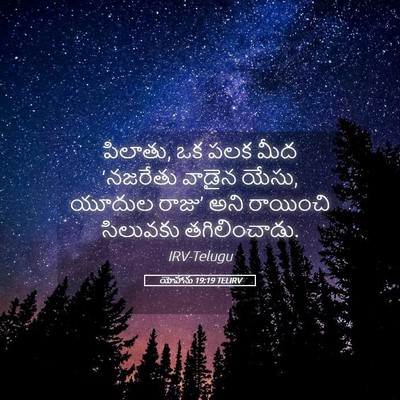 Picture 05 - యోహాను 19:19 TELIRV - పిలాతు, ఒక పలక మీద - Bible Verse Picture