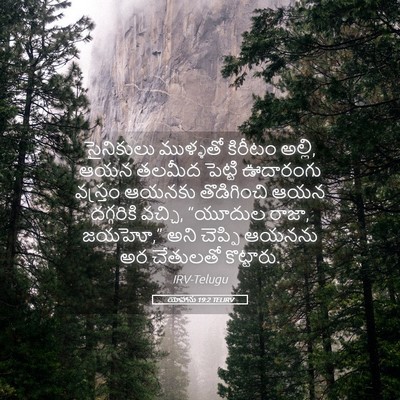 Picture 05 - యోహాను 19:2 TELIRV - సైనికులు ముళ్ళతో - Bible Verse Picture