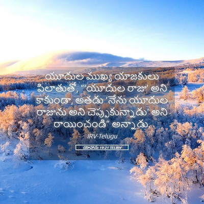 Picture 05 - యోహాను 19:21 TELIRV - యూదుల ముఖ్య - Bible Verse Picture