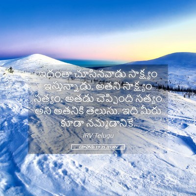 Picture 05 - యోహాను 19:35 TELIRV - ఇదంతా చూసినవాడు - Bible Verse Picture