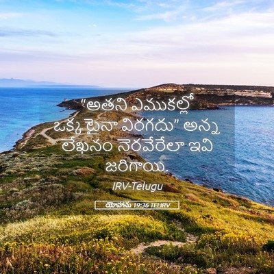 Picture 05 - యోహాను 19:36 TELIRV - “అతని ఎముకల్లో - Bible Verse Picture