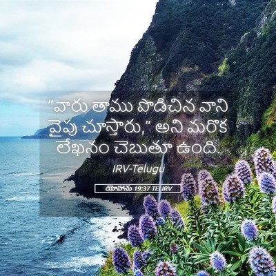 Picture 05 - యోహాను 19:37 TELIRV - “వారు తాము - Bible Verse Picture