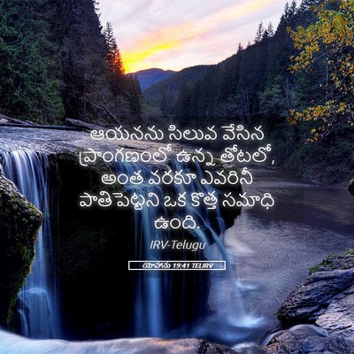 Picture 05 - యోహాను 19:41 TELIRV - ఆయనను సిలువ వేసిన - Bible Verse Picture