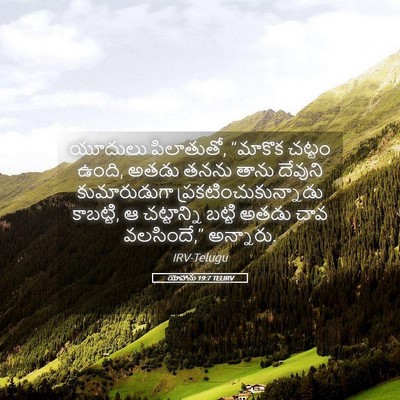 Picture 05 - యోహాను 19:7 TELIRV - యూదులు పిలాతుతో, - Bible Verse Picture