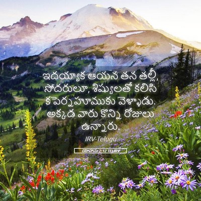 Picture 05 - యోహాను 2:12 TELIRV - ఇదయ్యాక ఆయన తన - Bible Verse Picture