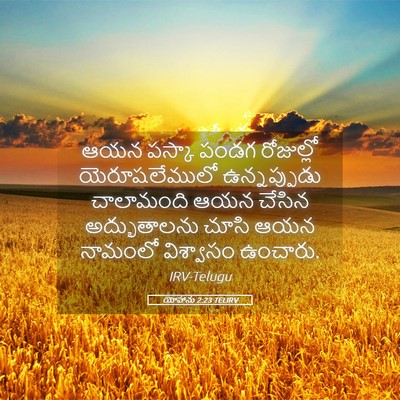 Picture 05 - యోహాను 2:23 TELIRV - ఆయన పస్కా పండగ - Bible Verse Picture