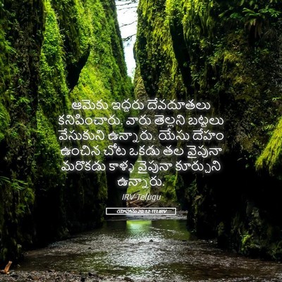 Picture 05 - యోహాను 20:12 TELIRV - ఆమెకు ఇద్దరు - Bible Verse Picture