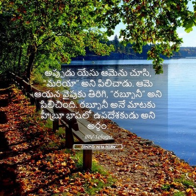 Picture 05 - యోహాను 20:16 TELIRV - అప్పుడు యేసు - Bible Verse Picture