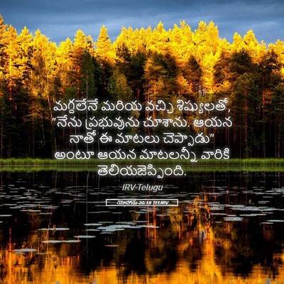 Picture 05 - యోహాను 20:18 TELIRV - మగ్దలేనే మరియ - Bible Verse Picture