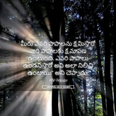 Picture 05 - యోహాను 20:23 TELIRV - మీరు ఎవరి పాపాలను - Bible Verse Picture