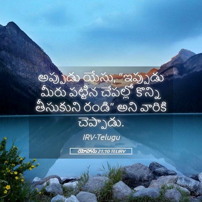 Picture 05 - యోహాను 21:10 TELIRV - అప్పుడు యేసు, - Bible Verse Picture