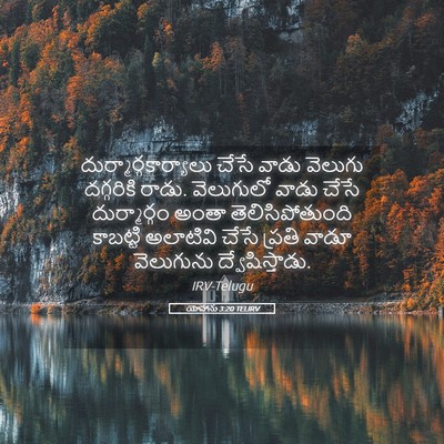 Picture 05 - యోహాను 3:20 TELIRV -  - Bible Verse Picture