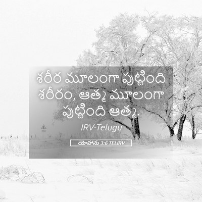 Picture 05 - యోహాను 3:6 TELIRV - శరీర మూలంగా - Bible Verse Picture