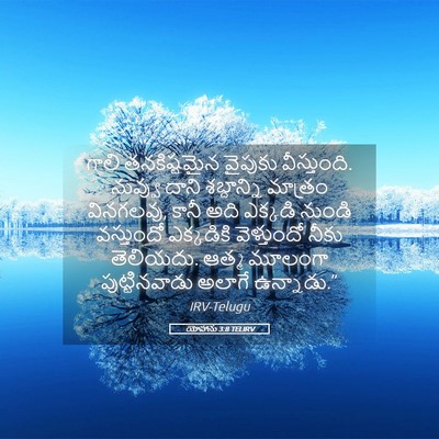 Picture 05 - యోహాను 3:8 TELIRV - గాలి తనకిష్టమైన - Bible Verse Picture
