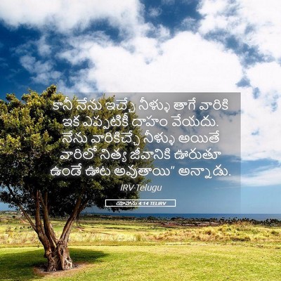 Picture 05 - యోహాను 4:14 TELIRV - కానీ నేను ఇచ్చే - Bible Verse Picture
