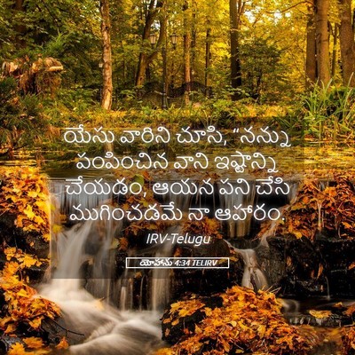 Picture 05 - యోహాను 4:34 TELIRV - యేసు వారిని చూసి, - Bible Verse Picture