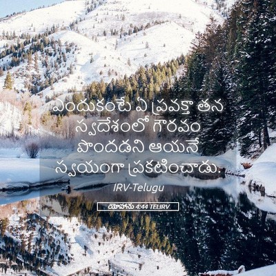 Picture 05 - యోహాను 4:44 TELIRV - ఎందుకంటే ఏ - Bible Verse Picture