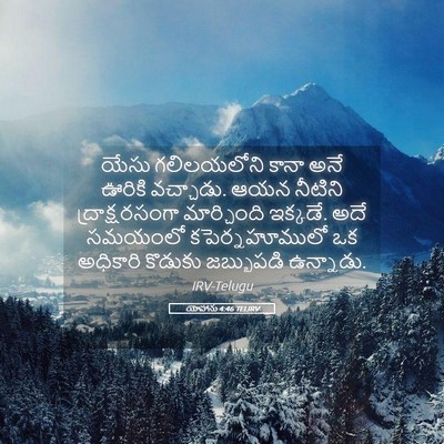 Picture 05 - యోహాను 4:46 TELIRV - యేసు గలిలయలోని - Bible Verse Picture
