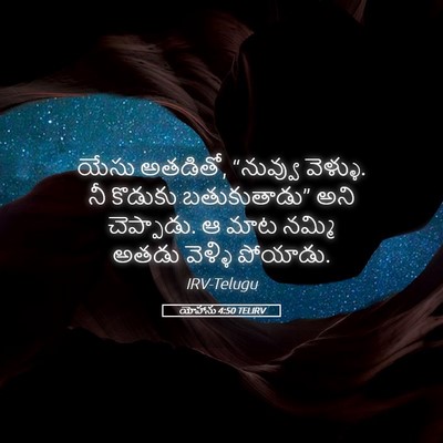 Picture 05 - యోహాను 4:50 TELIRV - యేసు అతడితో, - Bible Verse Picture