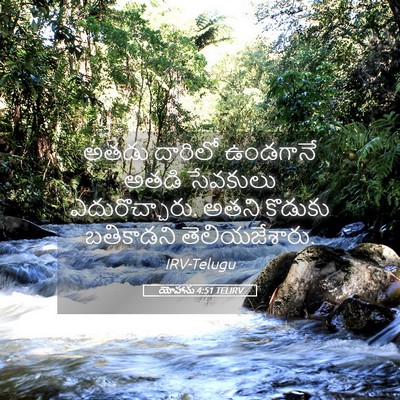 Picture 05 - యోహాను 4:51 TELIRV - అతడు దారిలో - Bible Verse Picture