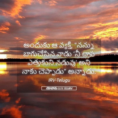 Picture 05 - యోహాను 5:11 TELIRV - అందుకు ఆ వ్యక్తి, - Bible Verse Picture