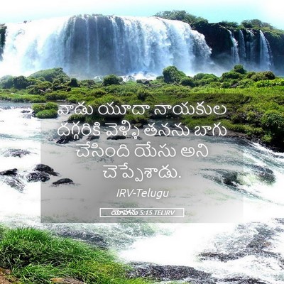 Picture 05 - యోహాను 5:15 TELIRV - వాడు యూదా నాయకుల - Bible Verse Picture