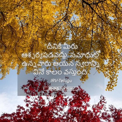 Picture 05 - యోహాను 5:28 TELIRV - “దీనికి మీరు - Bible Verse Picture
