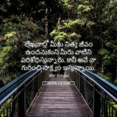 Picture 05 - యోహాను 5:39 TELIRV - లేఖనాల్లో మీకు - Bible Verse Picture