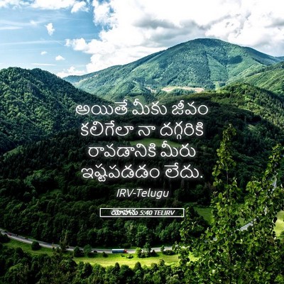 Picture 05 - యోహాను 5:40 TELIRV - అయితే మీకు జీవం - Bible Verse Picture