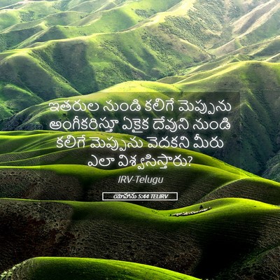 Picture 05 - యోహాను 5:44 TELIRV - ఇతరుల నుండి కలిగే - Bible Verse Picture