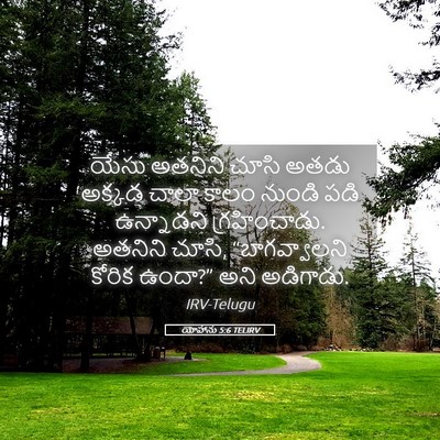 Picture 05 - యోహాను 5:6 TELIRV - యేసు అతనిని చూసి - Bible Verse Picture