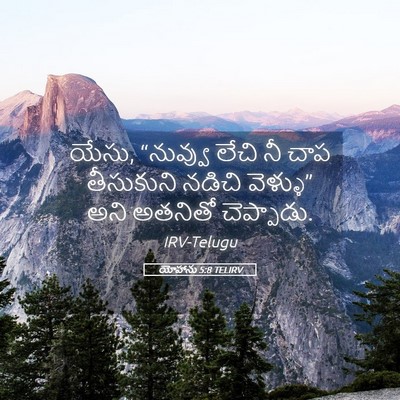 Picture 05 - యోహాను 5:8 TELIRV - యేసు, “నువ్వు లేచి - Bible Verse Picture