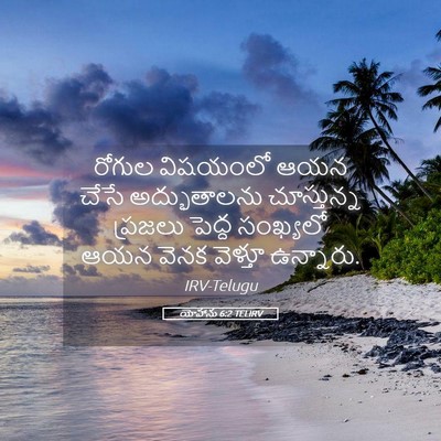 Picture 05 - యోహాను 6:2 TELIRV - రోగుల విషయంలో ఆయన - Bible Verse Picture