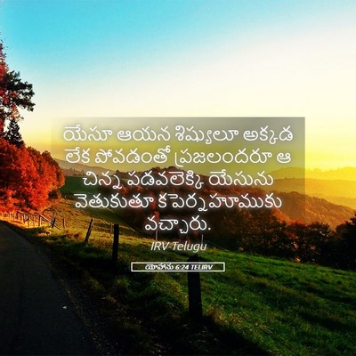 Picture 05 - యోహాను 6:24 TELIRV - యేసూ ఆయన శిష్యులూ - Bible Verse Picture