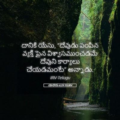 Picture 05 - యోహాను 6:29 TELIRV - దానికి యేసు, - Bible Verse Picture