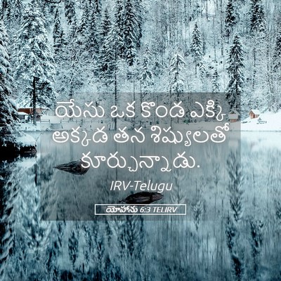 Picture 05 - యోహాను 6:3 TELIRV - యేసు ఒక కొండ ఎక్కి - Bible Verse Picture