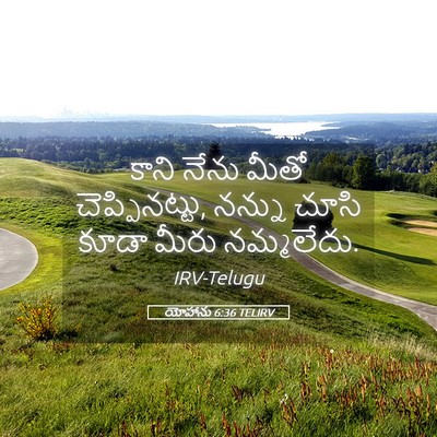Picture 05 - యోహాను 6:36 TELIRV - కాని నేను మీతో - Bible Verse Picture