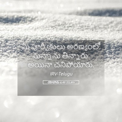 Picture 05 - యోహాను 6:49 TELIRV - మీ పూర్వీకులు - Bible Verse Picture