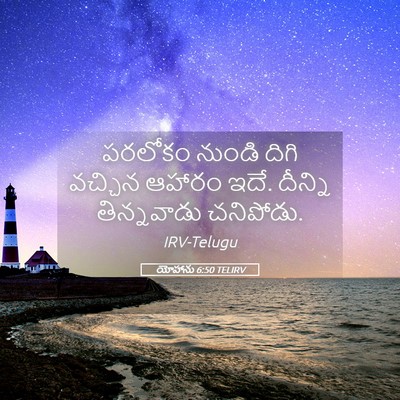 Picture 05 - యోహాను 6:50 TELIRV - పరలోకం నుండి దిగి - Bible Verse Picture